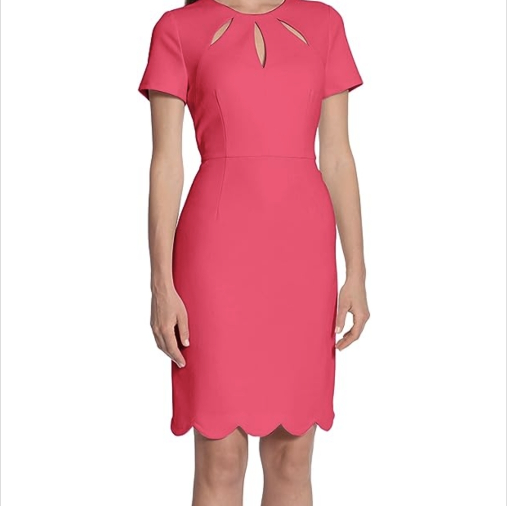 Maggy London Pink Midi Dress